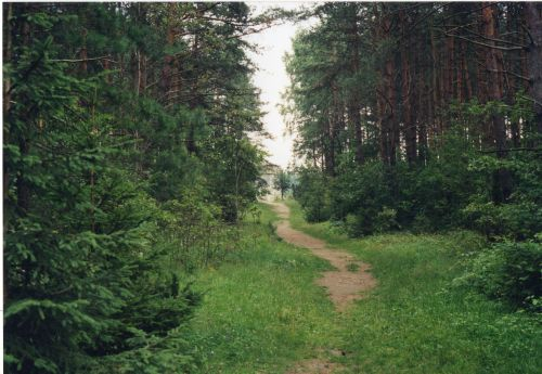 treblinka the road to heaven